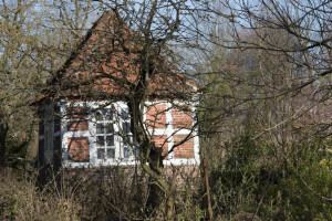 Verwilderte Baugrunstücke und Gartengrundstücke